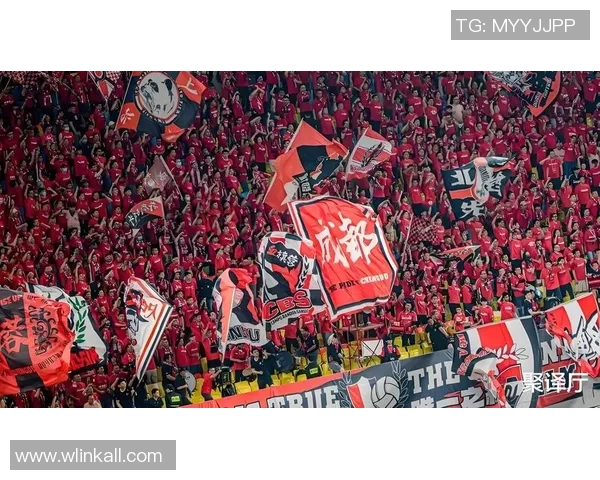 成都兴城足球俱乐部奋力拼搏争创佳绩展现蓉城足球新风貌